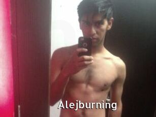 Alejburning