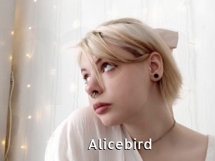 Alicebird