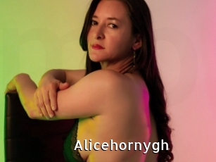 alicehornygh My Porno Stash