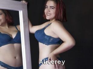 Alicerey