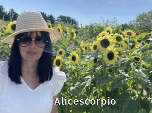 Alicescorpio