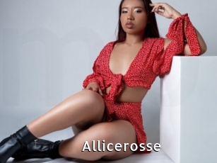 Allicerosse