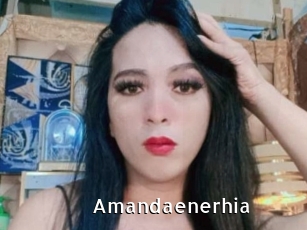 Amandaenerhia