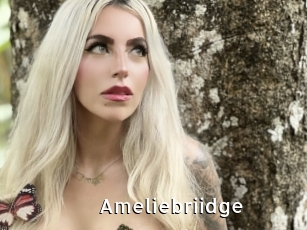 Ameliebriidge