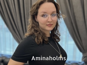 Aminaholms