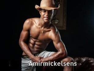 Amirmickelsens