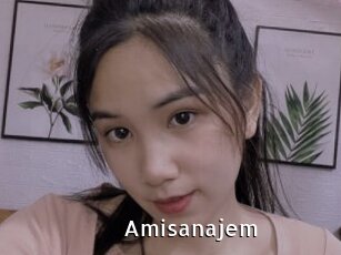 Amisanajem