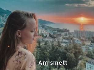 Amismett