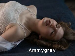 Ammygrey