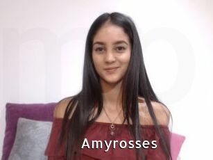 Amyrosses