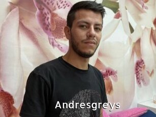 Andresgreys
