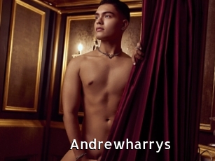 andrewharrys My Porno Stash