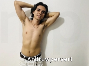 Andruwpervert