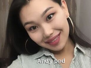 Andy_pnd