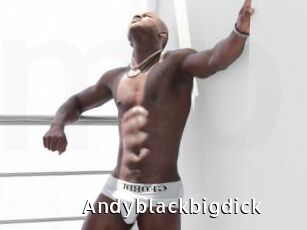 Andyblackbigdick