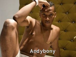 Andybony