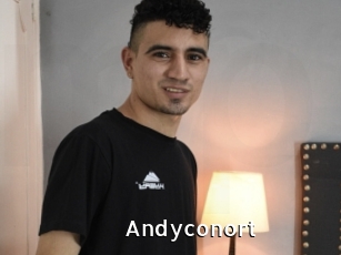 Andyconort