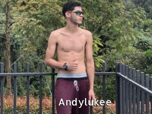 Andylukee