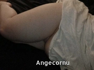 angecornu My Porno Stash