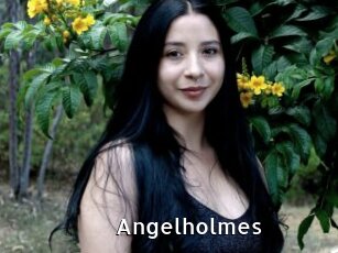 Angelholmes