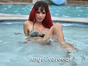 Angelicareed