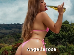 angelierose My Porno Stash