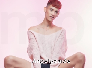 angelozaide My Porno Stash