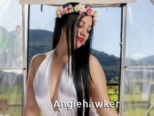 Angiehawker