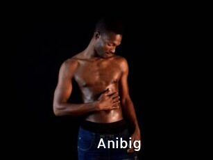 Anibig