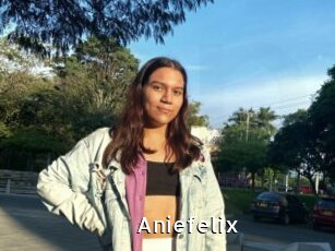 Aniefelix