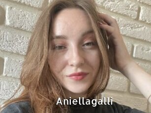 Aniellagalli