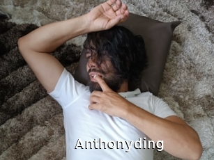 anthonyding My Porno Stash