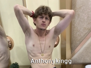 anthonykingg My Porno Stash