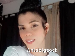 Antobigcock