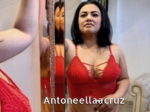 Antoneellaacruz
