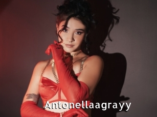 Antonellaagrayy