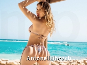 Antonellabosch