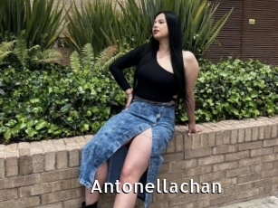 Antonellachan