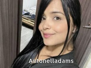 Antonelladams