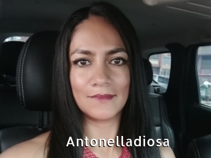 Antonelladiosa