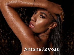 antonellavoss My Porno Stash