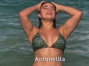Antonellla