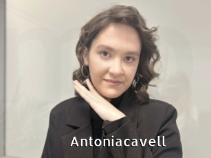 Antoniacavell