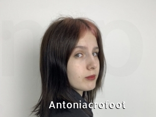 Antoniacrofoot