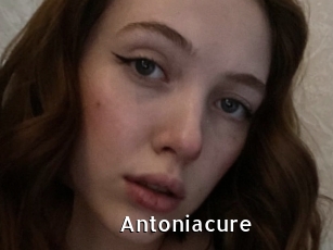 Antoniacure