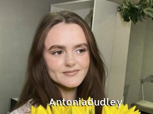Antoniadudley