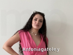 Antoniagateley