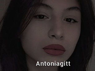 Antoniagitt
