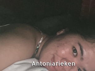 Antoniarieken