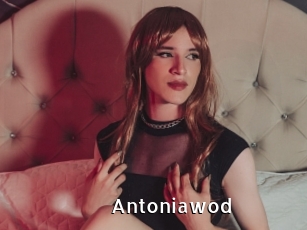 Antoniawod